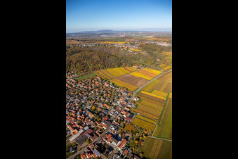 Village on the edge of vineyards and wineries in the wine-growing area in Bobenheim am Berg in the state Rhineland-Palatinate, Germany
