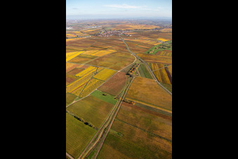 Bird's eye view of District Jerusalemsberg in Kirchheim an der Weinstraße in the state Rhineland-Palatinate, Germany