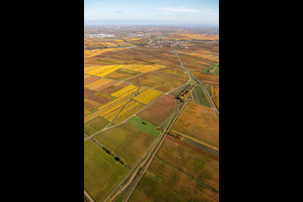 District Jerusalemsberg in Kirchheim an der Weinstraße in the state Rhineland-Palatinate, Germany viewn from the air