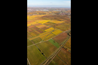 Kleinkarlbach in the state Rhineland-Palatinate, Germany from a drone