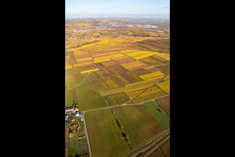 Kleinkarlbach in the state Rhineland-Palatinate, Germany seen from a drone