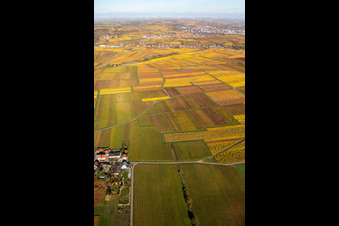 Aerial view of Kleinkarlbach in the state Rhineland-Palatinate, Germany