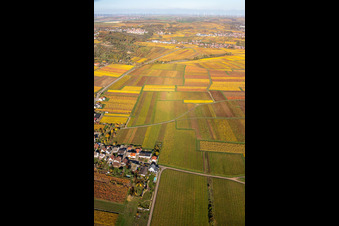Aerial photograpy of Kleinkarlbach in the state Rhineland-Palatinate, Germany