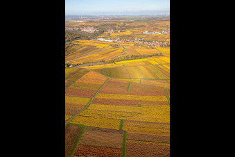 Kleinkarlbach in the state Rhineland-Palatinate, Germany from above