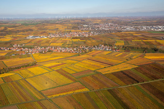 Leiningerland Kirchheim in the district Jerusalemsberg in Kirchheim an der Weinstraße in the state Rhineland-Palatinate, Germany
