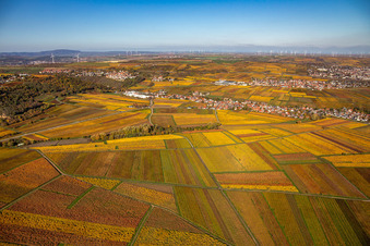 Leiningerland Kleinkarlbach in Kleinkarlbach in the state Rhineland-Palatinate, Germany