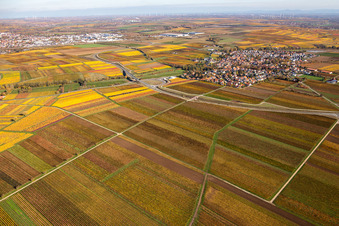 Drone image of District Jerusalemsberg in Kirchheim an der Weinstraße in the state Rhineland-Palatinate, Germany