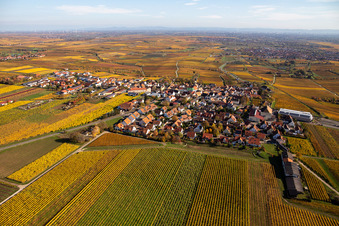 Aerial photograpy of Autumnal discolored vegetation view village - view on the edge of wine yards in Herxheim am Berg in the state Rhineland-Palatinate, Germany