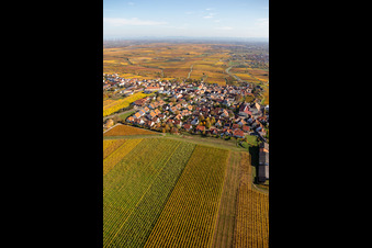 Herxheim am Berg in the state Rhineland-Palatinate, Germany from above