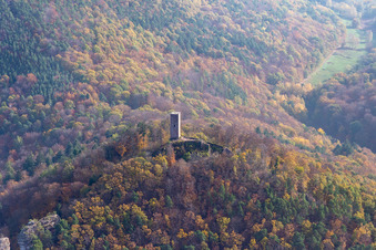Autumnal discolored vegetation view of castle of the fortress Scharfeneck in Annweiler am Trifels in the state Rhineland-Palatinate, Germany