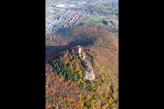 Autumnal discolored vegetation view of the castle of Burg Trifels in Annweiler am Trifels in the state Rhineland-Palatinate