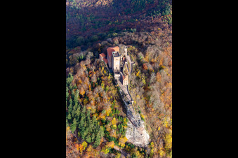 Aerial view of Autumnal discolored vegetation view of the castle of Burg Trifels in Annweiler am Trifels in the state Rhineland-Palatinate