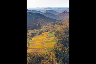Aerial view of Autumnal discolored vegetation view of castle of the fortresses Trifels, Scharfeneck and Anebos at sunset in Annweiler am Trifels in the state Rhineland-Palatinate, Germany