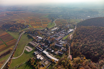 Palatinate Hospital for Psychiatry in Klingenmünster in the state Rhineland-Palatinate, Germany