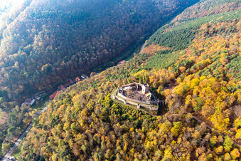 Aerial view of Autumnal discolored vegetation view ruins and vestiges of the former fortress Burg Landeck in Klingenmuenster in the state Rhineland-Palatinate, Germany