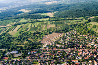Slat rope in the district Dietlingen in Keltern in the state Baden-Wuerttemberg, Germany