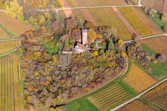 Autumnal discolored vegetation view of buildings and parks at the castle Chateau Saint Paul in Wissembourg in Grand Est, France