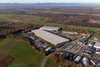 Aerial view of Industrial estate and company settlement Horst with Friedrich Zufall GmbH & Co. KG Internationale Spedition, Magna Exteriors, STS Group and Thermo Fisher in the district Minderslachen in Kandel in the state Rhineland-Palatinate, Germany