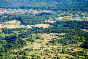 Orchards between fields and forest in the district Weiler in Keltern in the state Baden-Wuerttemberg, Germany