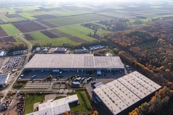 Horst industrial park with Magna Exteriors, Zufall Logistics, STS Group and Thermo Fisher in the district Minderslachen in Kandel in the state Rhineland-Palatinate, Germany from the drone perspective
