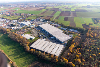 Horst industrial park with Magna Exteriors, Zufall Logistics, STS Group and Thermo Fisher in the district Minderslachen in Kandel in the state Rhineland-Palatinate, Germany from a drone