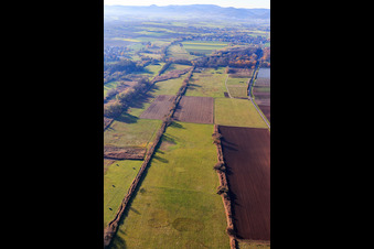 Billigheimer Bruch, Erlenbachtal between Barbelroth, Hergersweiler and Winden in the district Mühlhofen in Billigheim-Ingenheim in the state Rhineland-Palatinate, Germany