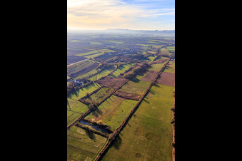 Aerial view of Billigheimer Bruch, Erlenbachtal between Barbelroth, Hergersweiler and Winden in the district Mühlhofen in Billigheim-Ingenheim in the state Rhineland-Palatinate, Germany