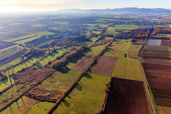 Aerial photograpy of Billigheimer Bruch, Erlenbachtal between Barbelroth, Hergersweiler and Winden in the district Mühlhofen in Billigheim-Ingenheim in the state Rhineland-Palatinate, Germany