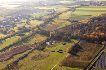 Billigheimer Bruch, Erlenbachtal between Barbelroth, Hergersweiler and Winden in the district Mühlhofen in Billigheim-Ingenheim in the state Rhineland-Palatinate, Germany out of the air