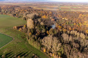 Aerial photograpy of Billigheimer Bruch, Erlenbachtal between Barbelroth, Hergersweiler and Winden in the district Ingenheim in Billigheim-Ingenheim in the state Rhineland-Palatinate, Germany