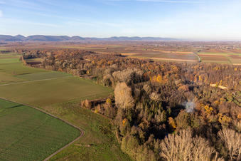 Oblique view of Billigheimer Bruch, Erlenbachtal between Barbelroth, Hergersweiler and Winden in the district Ingenheim in Billigheim-Ingenheim in the state Rhineland-Palatinate, Germany