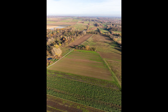 Aerial view of Billigheimer Bruch, Steinfelsbachtal between Barbelroth, Hergersweiler and Winden in Barbelroth in the state Rhineland-Palatinate, Germany