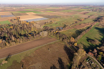 Drone image of Billigheimer Bruch, Erlenbachtal between Barbelroth, Hergersweiler and Winden in the district Mühlhofen in Billigheim-Ingenheim in the state Rhineland-Palatinate, Germany