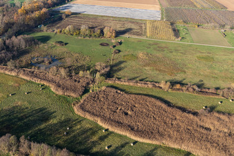 Aerial view of Billigheimer Bruch, flood ditch between Barbelroth, Hergersweiler and Winden in the district Mühlhofen in Billigheim-Ingenheim in the state Rhineland-Palatinate, Germany