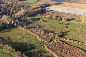 Aerial photograpy of Billigheimer Bruch, flood ditch between Barbelroth, Hergersweiler and Winden in the district Mühlhofen in Billigheim-Ingenheim in the state Rhineland-Palatinate, Germany