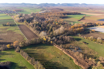 Billigheimer Bruch, Erlenbachtal between Barbelroth, Hergersweiler and Winden in the district Mühlhofen in Billigheim-Ingenheim in the state Rhineland-Palatinate, Germany seen from a drone