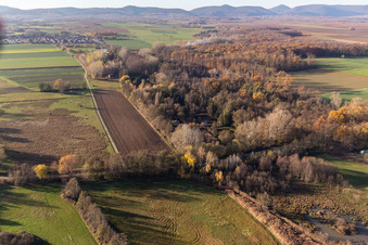 Aerial view of Billigheimer Bruch, Erlenbachtal between Barbelroth, Hergersweiler and Winden in the district Mühlhofen in Billigheim-Ingenheim in the state Rhineland-Palatinate, Germany