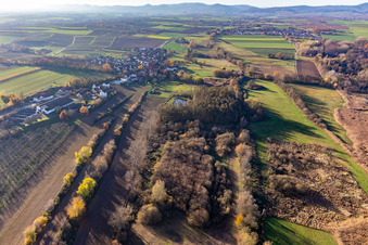 Billigheimer Bruch, Erlenbachtal between Barbelroth, Hergersweiler and Winden in Hergersweiler in the state Rhineland-Palatinate, Germany out of the air