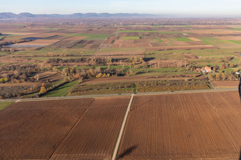Billigheimer Bruch, Erlenbachtal between Barbelroth, Hergersweiler and Winden in the district Mühlhofen in Billigheim-Ingenheim in the state Rhineland-Palatinate, Germany out of the air