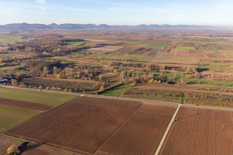 Billigheimer Bruch, Erlenbachtal between Barbelroth, Hergersweiler and Winden in the district Mühlhofen in Billigheim-Ingenheim in the state Rhineland-Palatinate, Germany seen from above
