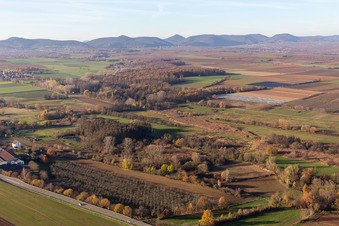 Billigheimer Bruch, Erlenbachtal between Barbelroth, Hergersweiler and Winden in Hergersweiler in the state Rhineland-Palatinate, Germany seen from above