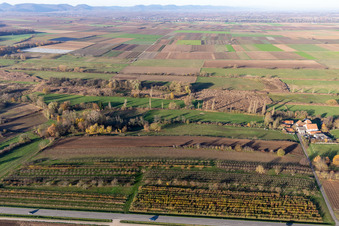 Bird's eye view of Billigheimer Bruch, Erlenbachtal between Barbelroth, Hergersweiler and Winden in Hergersweiler in the state Rhineland-Palatinate, Germany