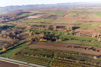 Billigheimer Bruch, Erlenbachtal between Barbelroth, Hergersweiler and Winden in Hergersweiler in the state Rhineland-Palatinate, Germany viewn from the air