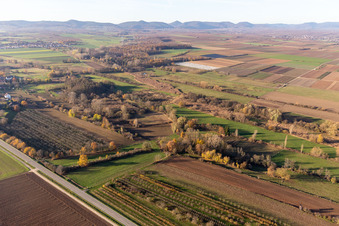 Drone recording of Billigheimer Bruch, Erlenbachtal between Barbelroth, Hergersweiler and Winden in Hergersweiler in the state Rhineland-Palatinate, Germany