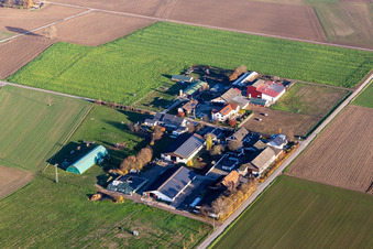 Burgerhof in Neupotz in the state Rhineland-Palatinate, Germany