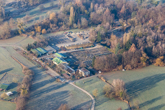 Bienwald Nursery in Berg in the state Rhineland-Palatinate, Germany