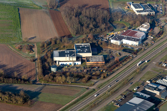 Shimmer & Black Interpolymer in the district Altenstadt in Wissembourg in the state Bas-Rhin, France