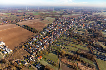 Oblique view of District Schaidt in Wörth am Rhein in the state Rhineland-Palatinate, Germany