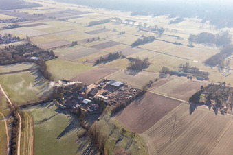 Aerial view of Orth woodworks with burnt-down hall in the district Schaidt in Wörth am Rhein in the state Rhineland-Palatinate, Germany