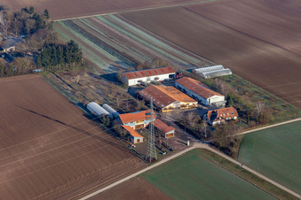 Schoßberghof farm shop in Minfeld in the state Rhineland-Palatinate, Germany